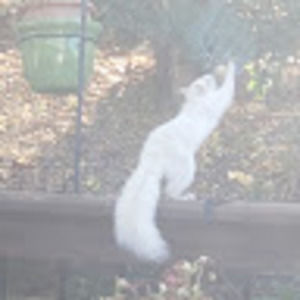 Meet your Posher, Tanya